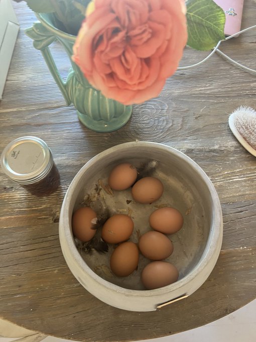 To my members who watched my heard my chickens 🐓 into my coop tonight&hellip; I love you! #chickens https://t<a href="/tag/chickens"class="tags"><span>#chickens</span></a>