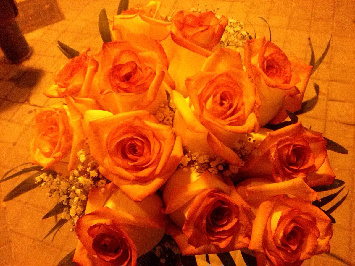 ‘For things to reveal themselves to us, we need to be ready to abandon our views about them.’  ——— THICH NHAT HANH