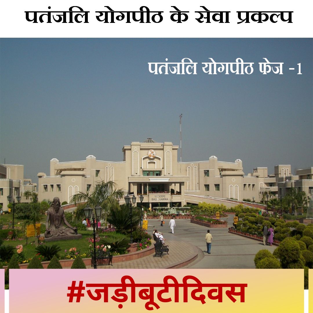 सादर ओम 🙏🙏
योग और आयुर्वेद को बढ़ावा देने के लिए पूज्य स्वामी जी  ने पतंजलि योगपीठ की स्थापना की, ब्रिटेन, अमेरिका, नेपाल, कनाडा और मॉरिशियस में भी पतंजलि योगपीठ की दो शाखाएँ हैं ! #जड़ीबूटीदिवस