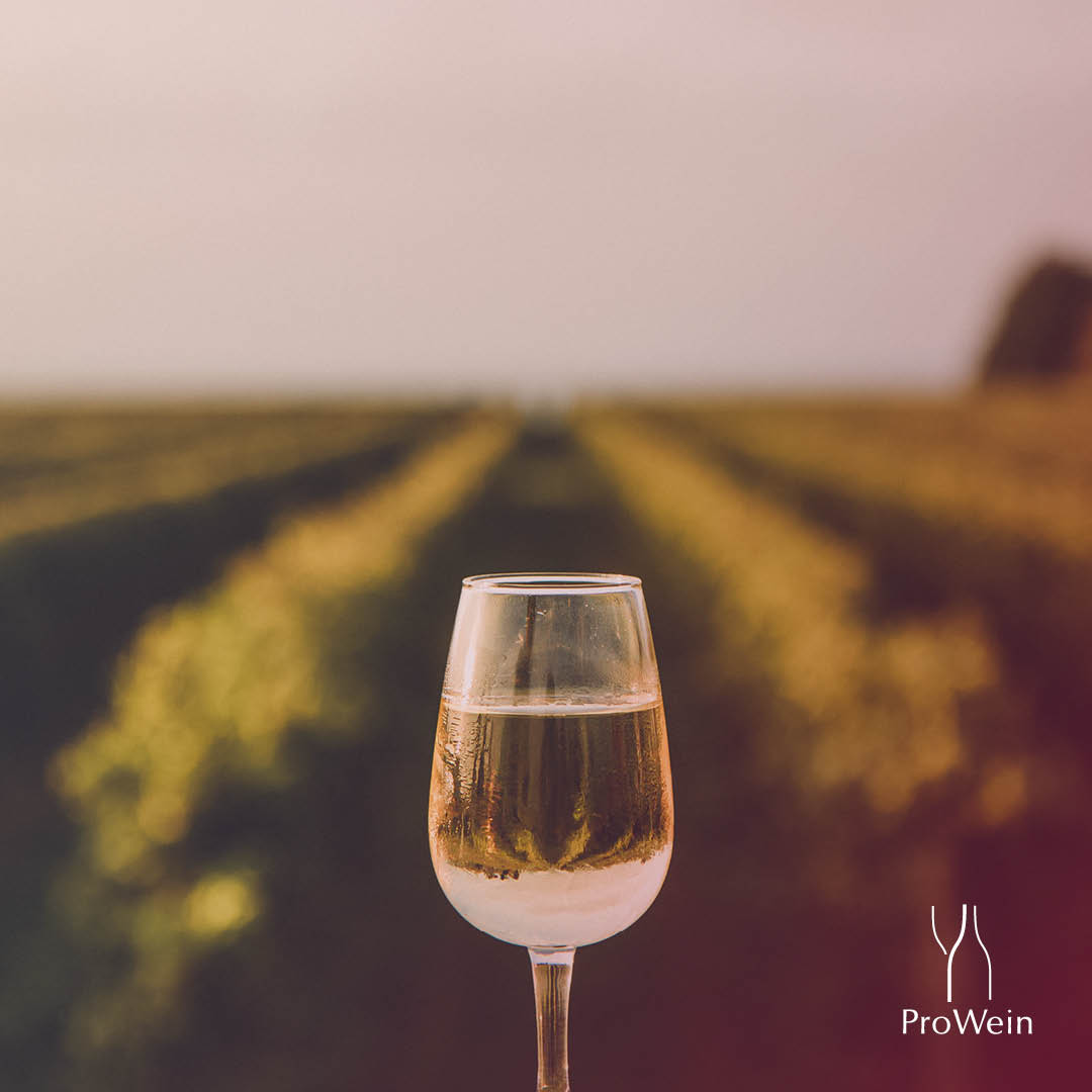 Let's celebrate! Today is National White Wine Day in the USA. 🥂 The perfect occasion for us all to make a toast together, whatever country you live in. What do you say? 😉 #prowein #proweintradefair #prowein2024