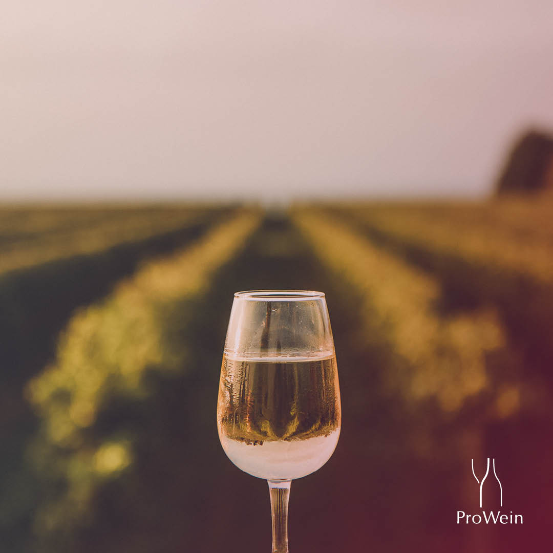 Let's celebrate! Today is National White Wine Day in the USA. 🥂 The perfect occasion for us all to make a toast together, whatever country you live in. What do you say? 😉

#prowein #proweintradefair #prowein2024
