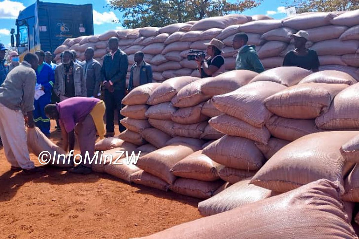 2023CENTRE's tweet photo. Yesterday, Great Zimbabwe University (GZU) launched traditional grains contract farming programme in Chibwedziva, Chiredzi District.The occasion was graced by the Minister of Higher and Tertiary Education, Innovation, Science and Technology Development Prof Amon Murwira.
#Edwork https://t.co/xDFvk5sZ47