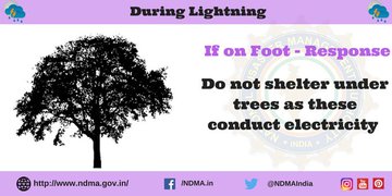 #Lightning | If on foot: do's and don'ts to #StaySafe from #thunderstorm &amp; lightning 🌩

➡ Don't take shelter under trees.