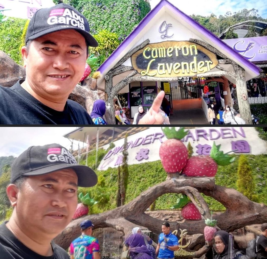 cmkcucumatkilau's tweet image. Lepak tempat sejuk dulu, sbelum gerak ke edisi terjah berikutnya. Ambik angin kat Cameron Highlands malam tadi  😎
#prn #tokwantroopers #cybersquad