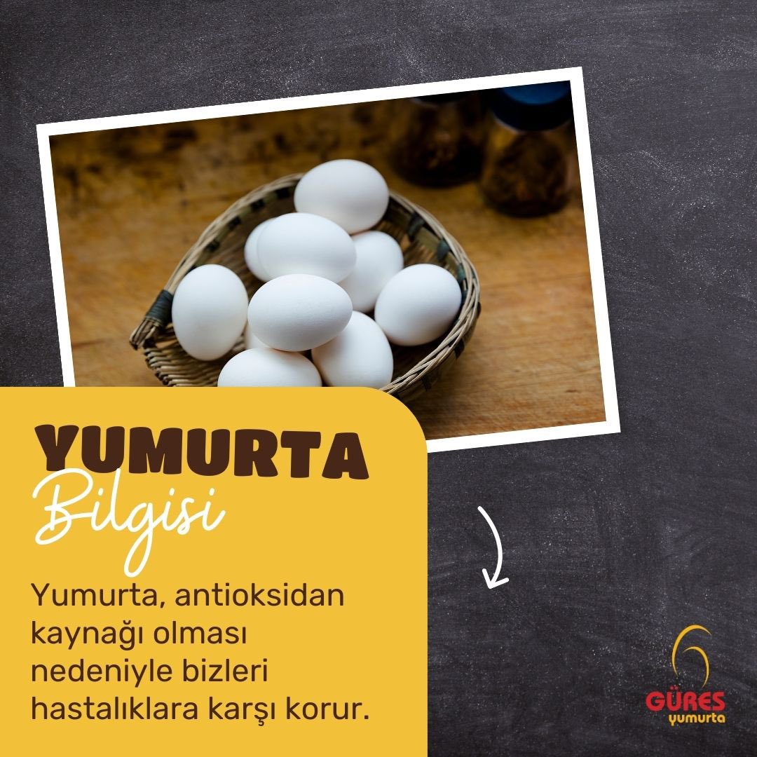 Yumurta, içindeki antioksidanlar sayesinde bizleri hastalıklara karşı korur ve bağışıklığımızı artırır.

#GüresYumurta #yumurta #bilgi #sağlıkbilgisi