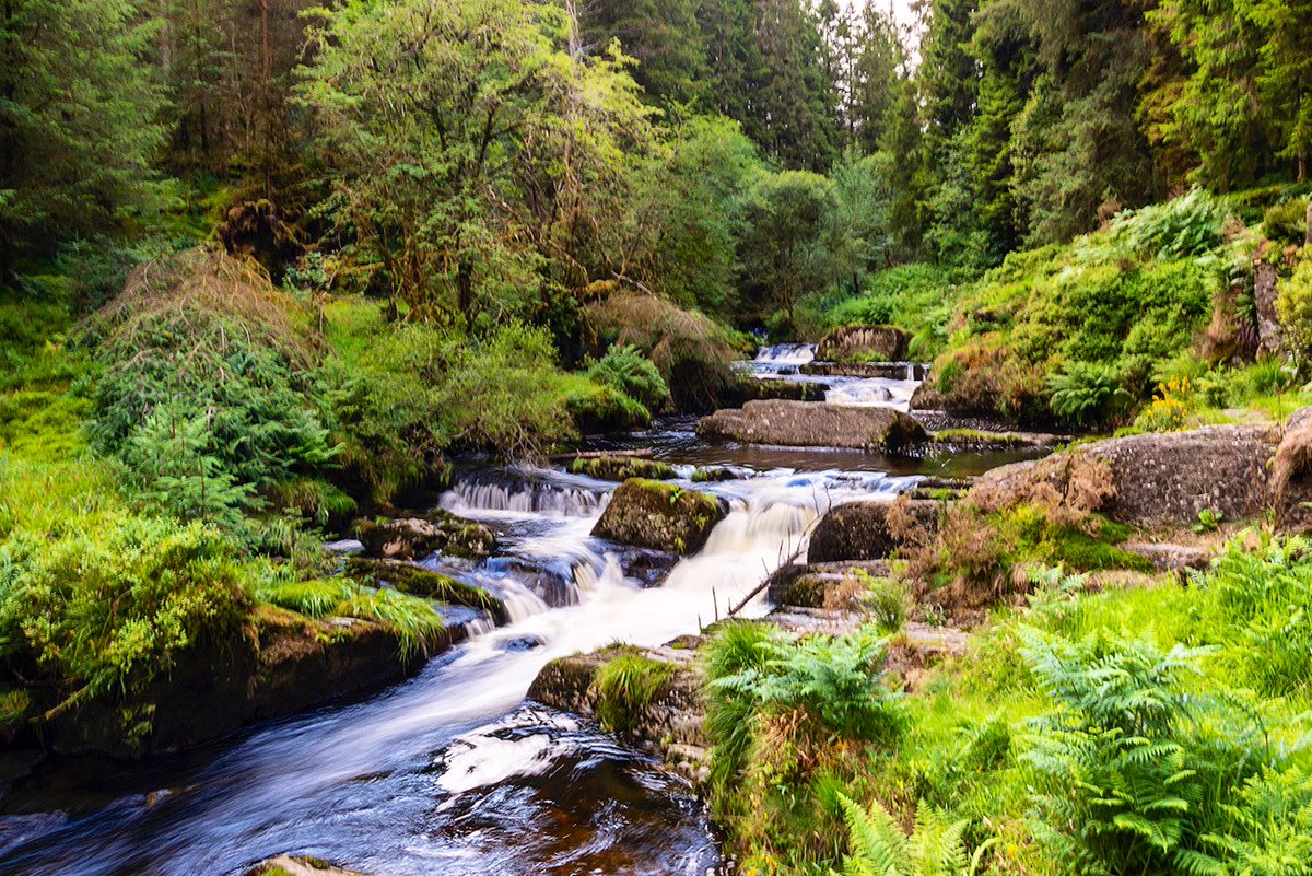 SteveDee22's tweet photo. Hafren Forest https://t.co/NQb8Qr0kuD