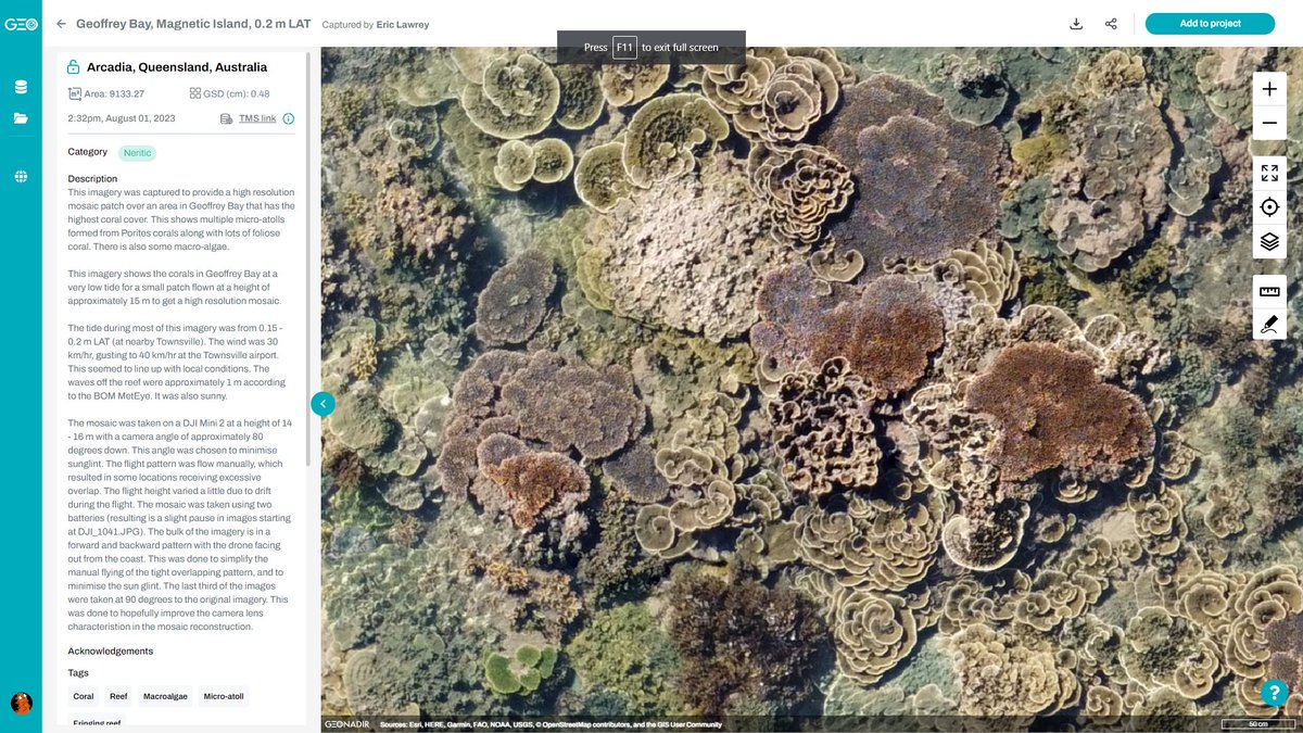 Dr Karen Joyce (@drkjoyce) on Twitter photo Hard to believe this is from an aerial drone and not underwater!
Days like this are truly magic for #dronemapping, thx for sharing <a href="/EricLawrey/">Eric Lawrey</a>!
check it out for yourself: data.geonadir.com/image-collecti… Hard to believe this is from an aerial drone and not underwater!
Days like this are truly magic for #dronemapping, thx for sharing <a href="/EricLawrey/">Eric Lawrey</a>!
check it out for yourself: data.geonadir.com/image-collecti…