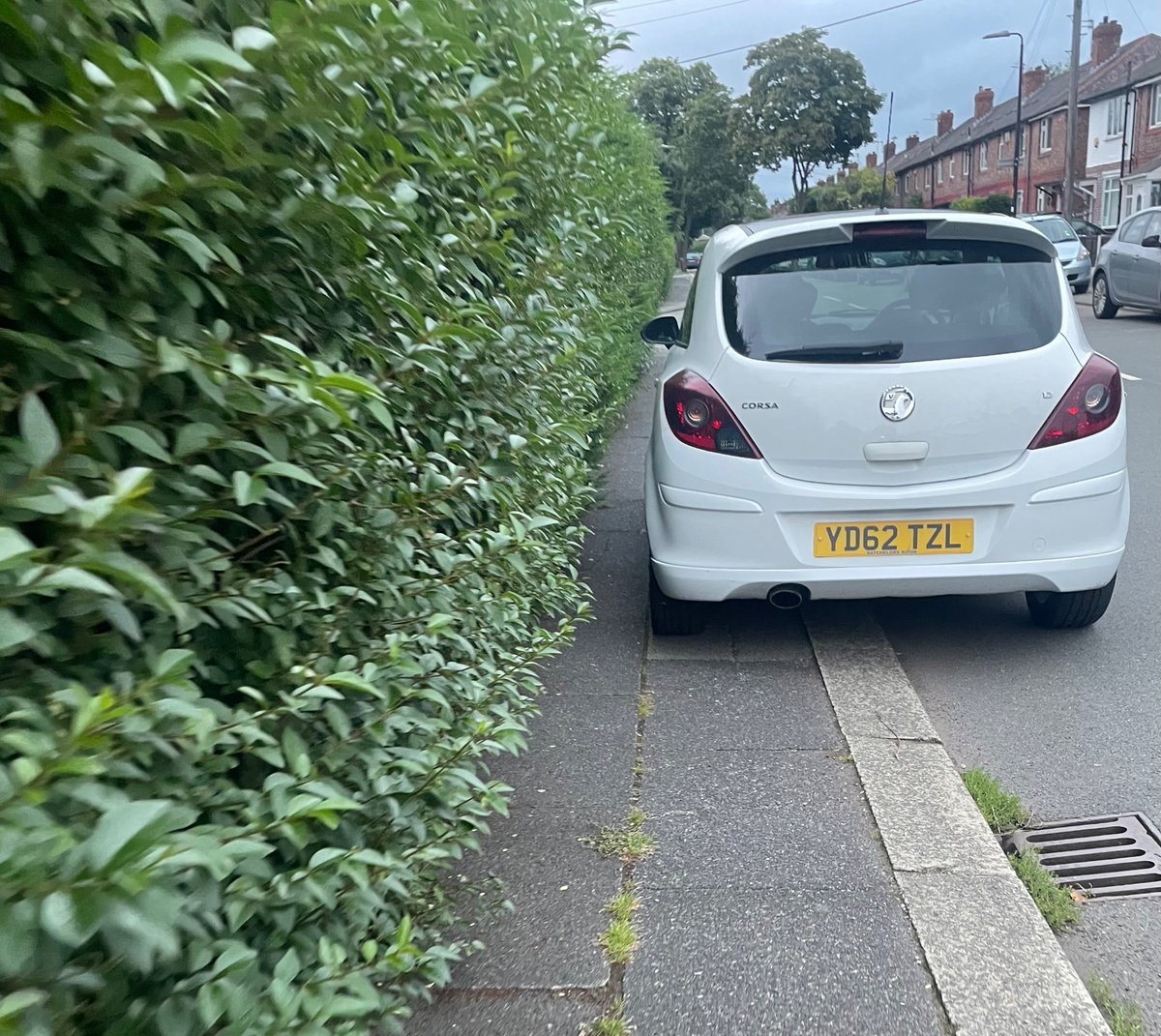 NiceUrmston's tweet photo. Need to get the council to trim these bushes back so these two can park more on the kerb 👍

@YPLAC https://t.co/j2pyQT441p