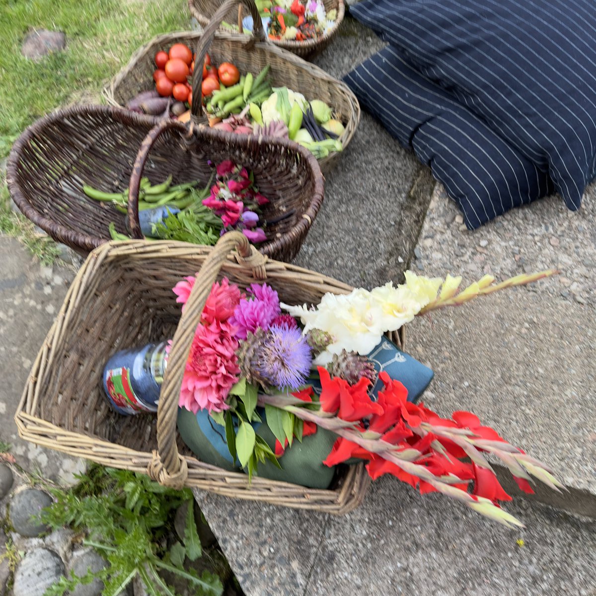 Good luck to all the competitors at the <a href="/BunessanShow/">Bunessan Show</a> today! Look forward to seeing all the produce on display #isleofmull