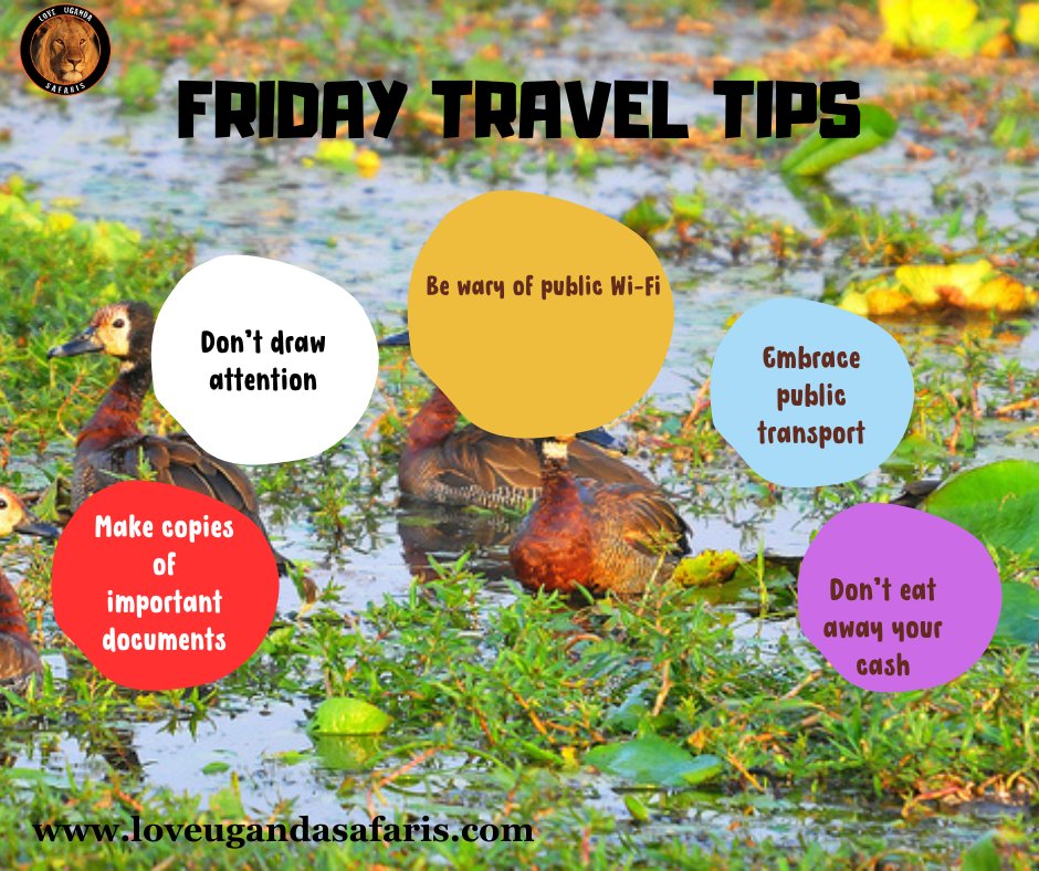 With the right information, the impossible becomes possible! 😎 With our #FridayTravelTips you'll plan the best safari anywhere. Read the Compete guide to planning a safari at loveugandasafaris.com/planning-a-uga…  #Lesotho