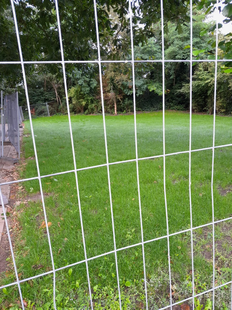 Bij verschillende scholen in de wijk hebben wij het gazon opnieuw ingezaaid. Met dit weer groeit het geweldig, na de vakantie de hekken eraf en dan kunnen de kinderen weer spelen