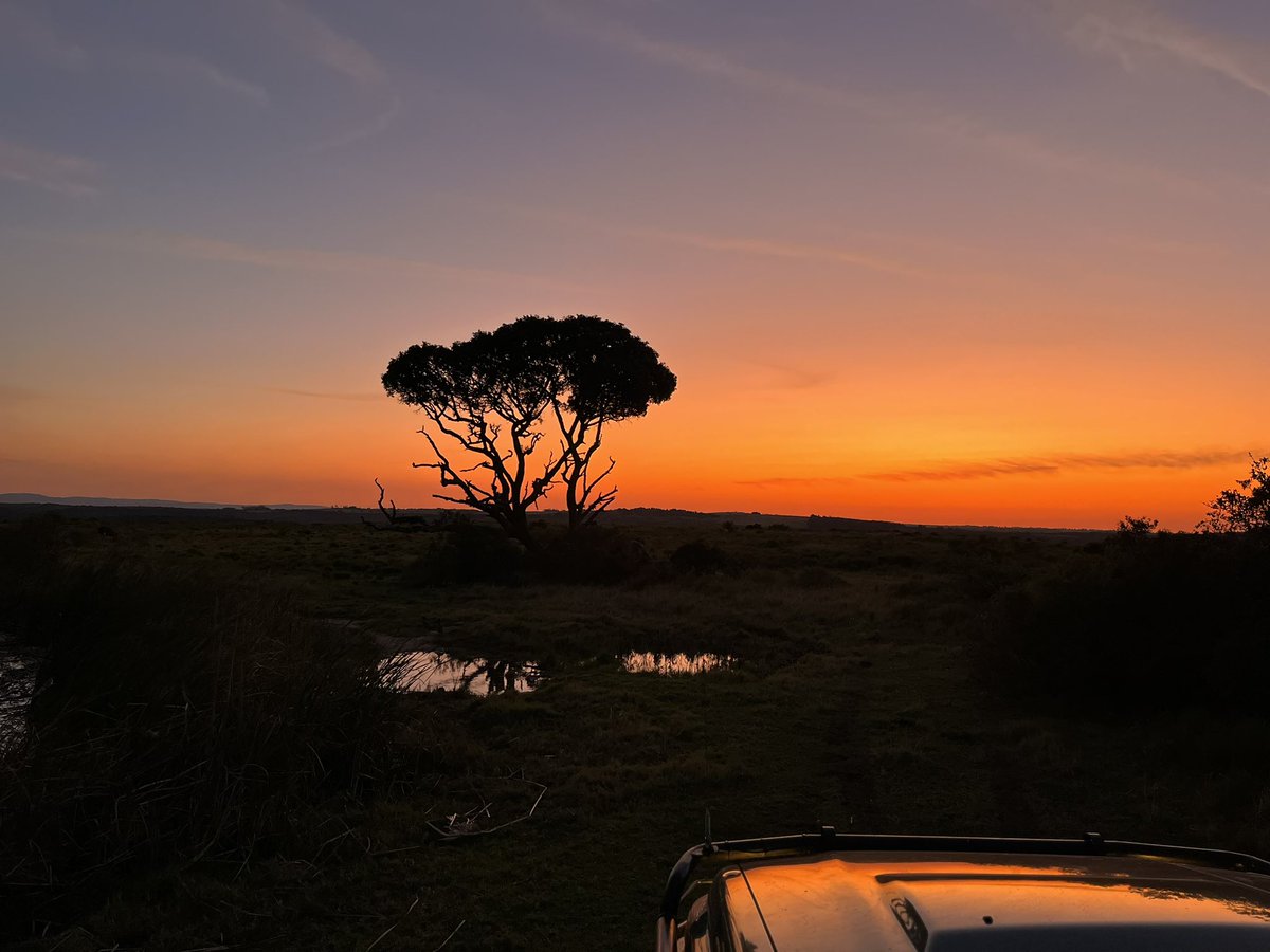 SS Sport Dept tweet media