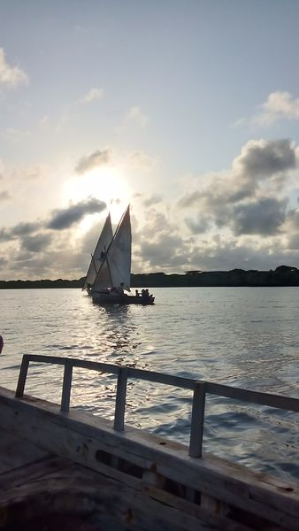satima_exp's tweet photo. Sunsets in lamu are magical.
#SatimaExpeditions #CreateUnforgettableMemories #tembeakenya #explorelamu #lamu #magicalkenya #Holidays #historicaltours #views1m #beautifuldestinations #island #Lamu #destinationhunt #travelphotography #travelholic #sunsets #sunsetlovers #lamusunset https://t.co/EvsP66EYC9