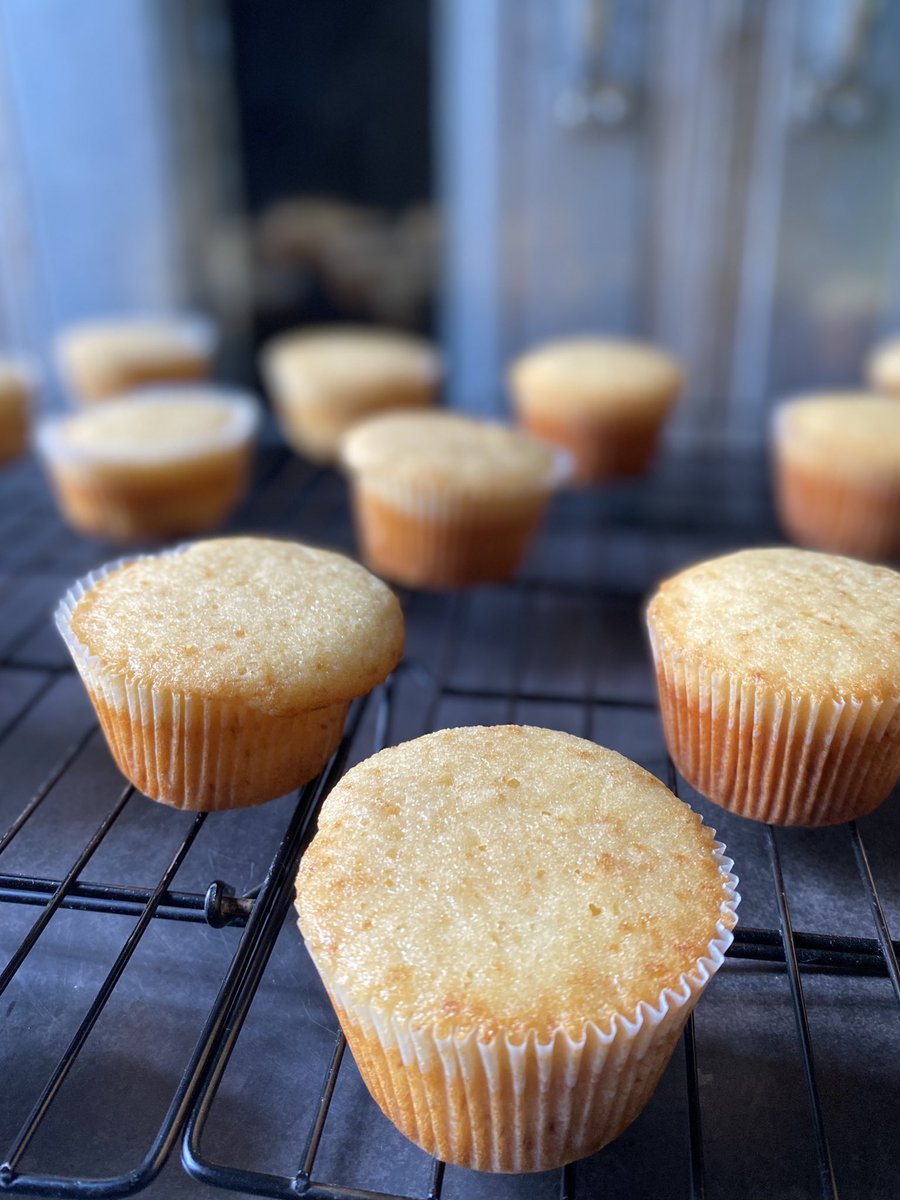 _Vanilladaddy's tweet photo. 12hrs-24hrs pre-order time!
Cupcakes are available just for you ❤️.
⚠️Inter-state delivery available!
#BBNaijaS8XGuinness #KanoTwitterConnect #kanotwittercommunity #KanoFirst #abuja #AbujaTwitterCommunity #abujatwitterconnect #abujacity #arewa #arewatwittercommunity https://t.co/gdc2BnK4ba