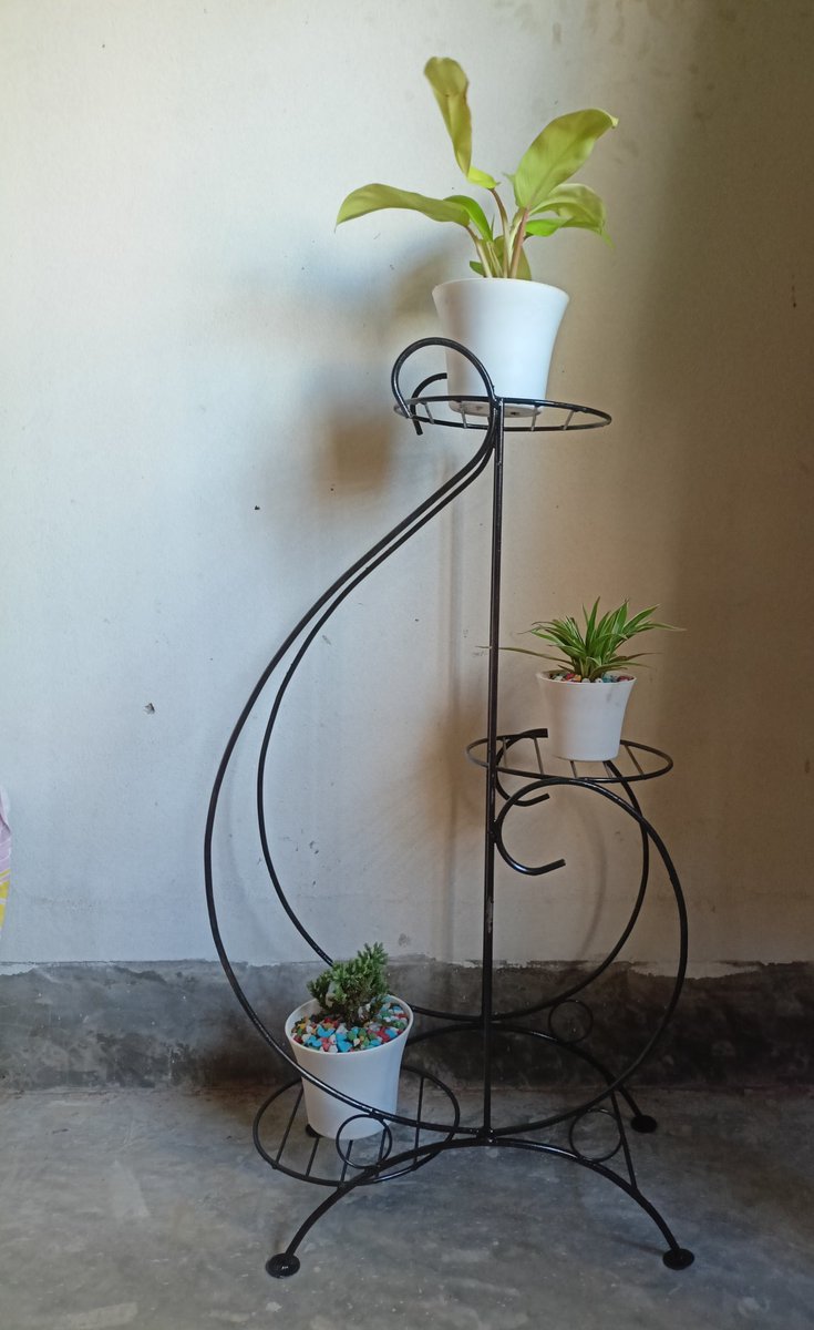 HR_VinoGraph's tweet photo. new beginning! 💚🌿

#indoorplants #plants https://t.co/mvO5u97l4m