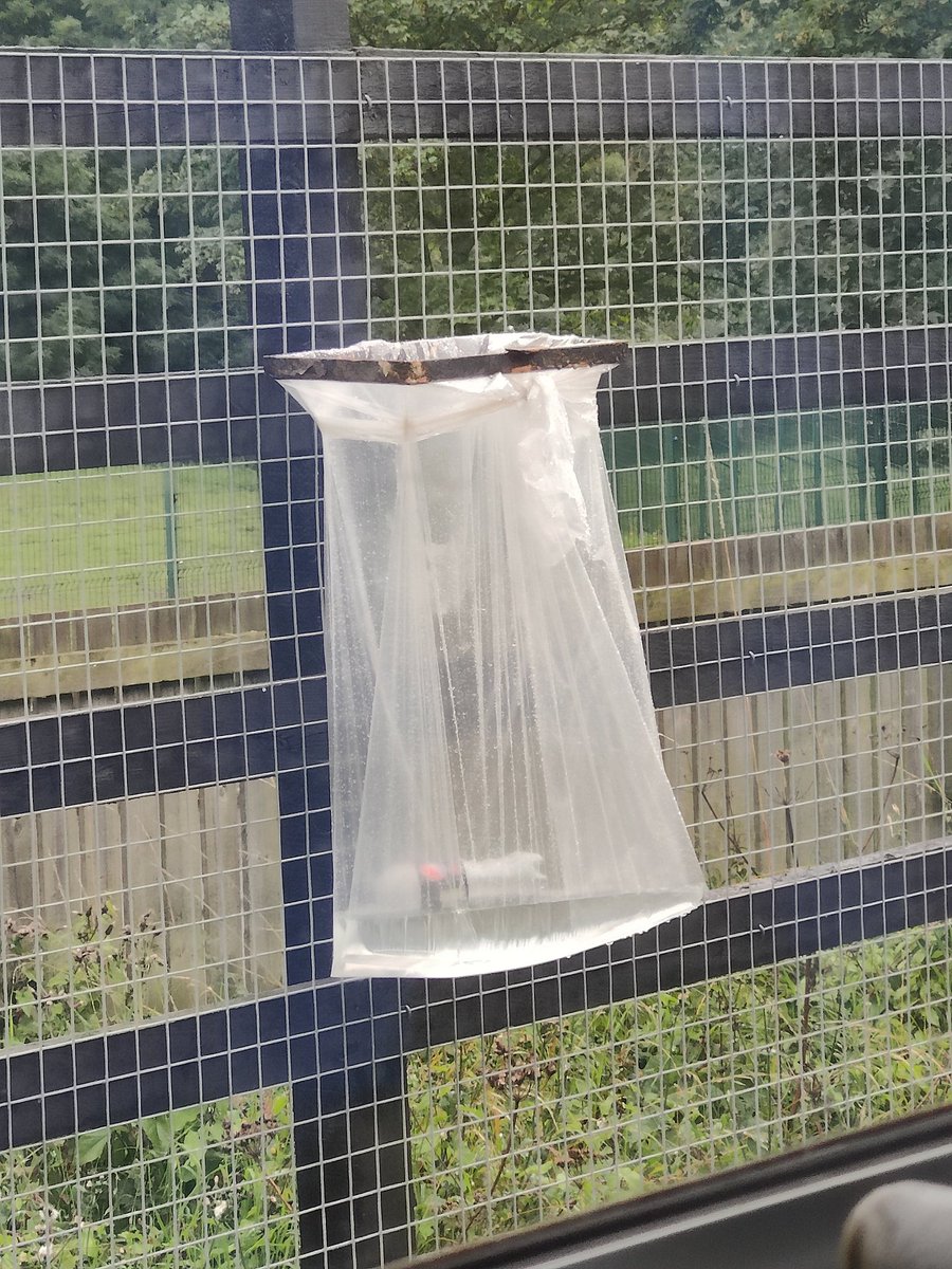 David Cumbor tweet media