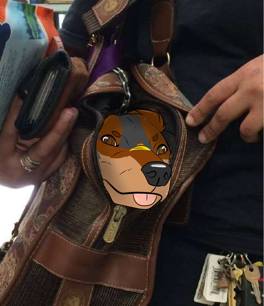 YOTE IN A TOTE