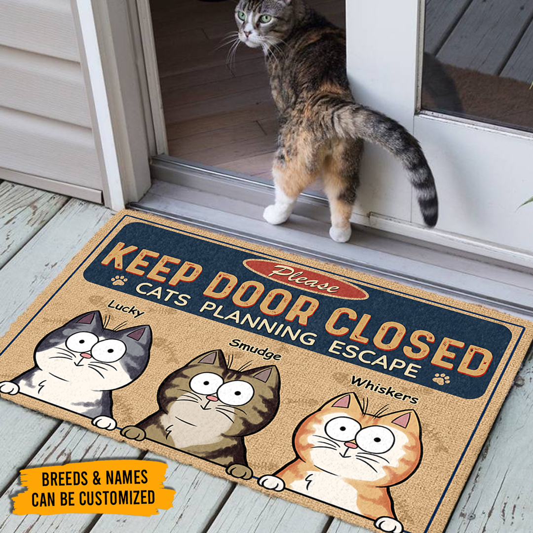 Pawfecthouse tweet media