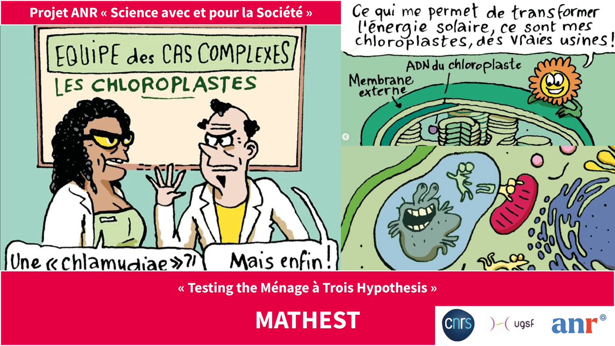 CNRS_HdF's tweet image. #VendrediLecture #SAPSCNRS | Il est connu que les plantes réalisent la photosynthèse... 🌱
Mais comment ont-elles acquis ce super pouvoir ? 🧐

Eléments de réponse dans @matin_qljournal avec #EnqueteDeSciences et les scientifiques de l&apos;@umr8576 ! 🙌
➡️ instagram.com/p/CvG6cVbo3uE/…