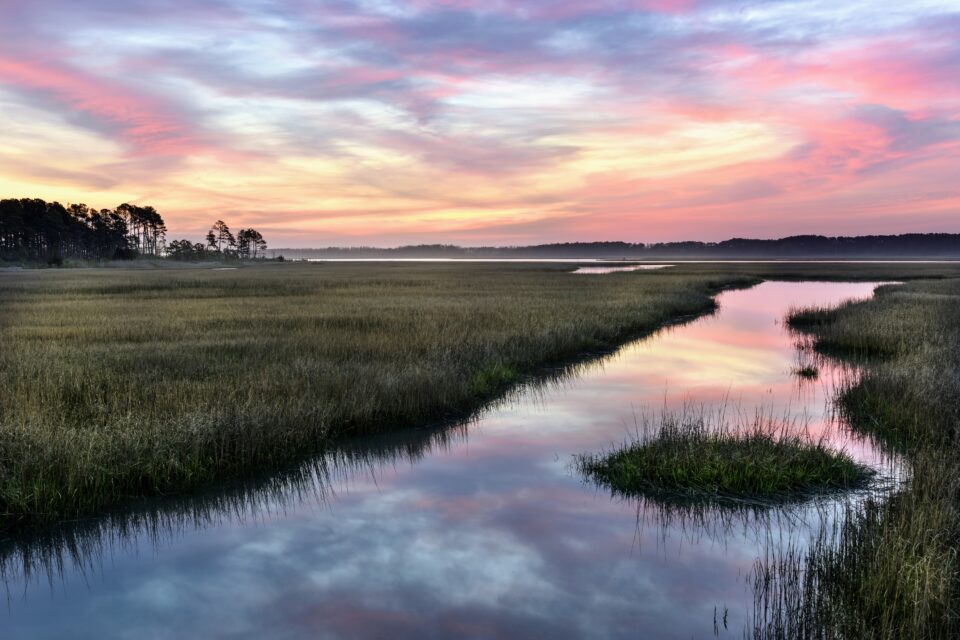 The Vanishing Salt Marshes: Unveiling the Threat of Rising Seas!

theprakritistory.com/the-disappeari…

#DisappearingSaltMarshes #SeaLevelRise #ClimateCrisis #ProtectOurEcosystems #ActOnClimate #RisingSeas #PreservingNature #sustainablefutures