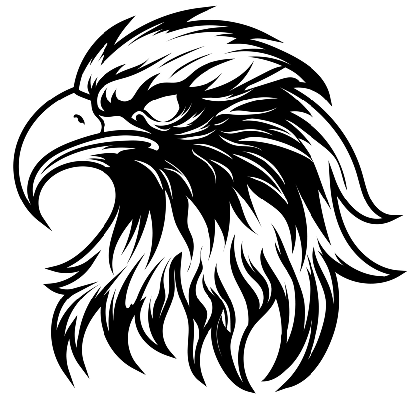 Vets_elementary's tweet photo. We get to start the year off with a vote for a new Veterans Eagle! Which one do you like? Staff, students, and parents will get to vote on their favorite. Looking forward to getting new Veterans gear soon with our new eagle logo! https://t.co/BYLv59DKRV