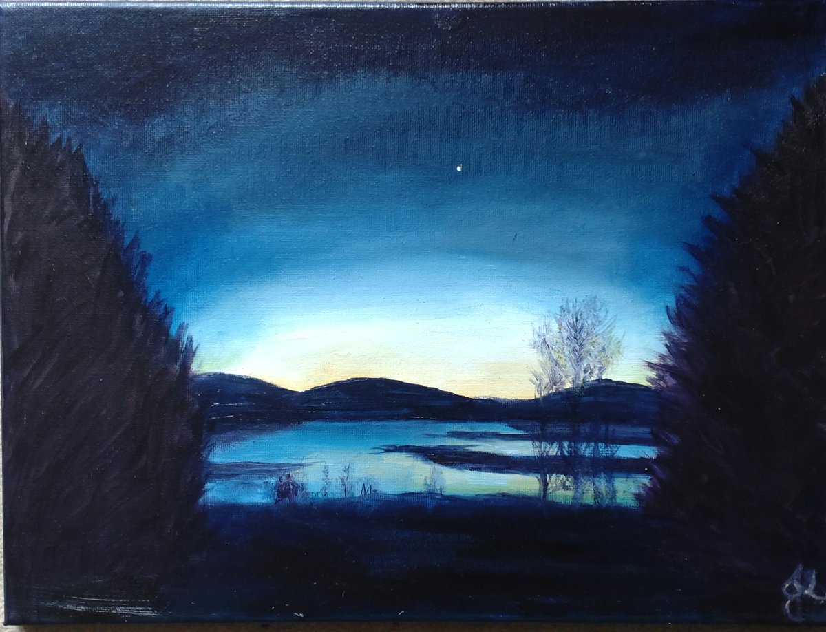 Quick little paintings... Oil on canvas. 
'Aurora & Venus Over Sunart.' 🎨

#art #supportingartists #painting #oilpainting #artistslife #scottishlife #scotland #lochsunart #WOMENSART1 #WOMENSART #auroraborealis