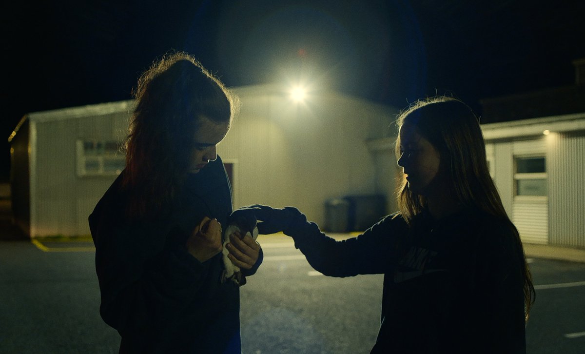 Directors_UK's tweet photo. Set off the coast of Iceland, Jessica Bishopp’s documentary short Puffling is a coming-of-age story about young adults and pufflings alike.

We spoke to Jessica about directing the film and taking part in our Inspire mentoring programme.

Read now: https://t.co/JgaONXiWcv https://t.co/sRpHCov155
