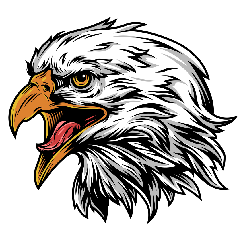 Vets_elementary's tweet photo. We get to start the year off with a vote for a new Veterans Eagle! Which one do you like? Staff, students, and parents will get to vote on their favorite. Looking forward to getting new Veterans gear soon with our new eagle logo! https://t.co/Et2JBOTR7V