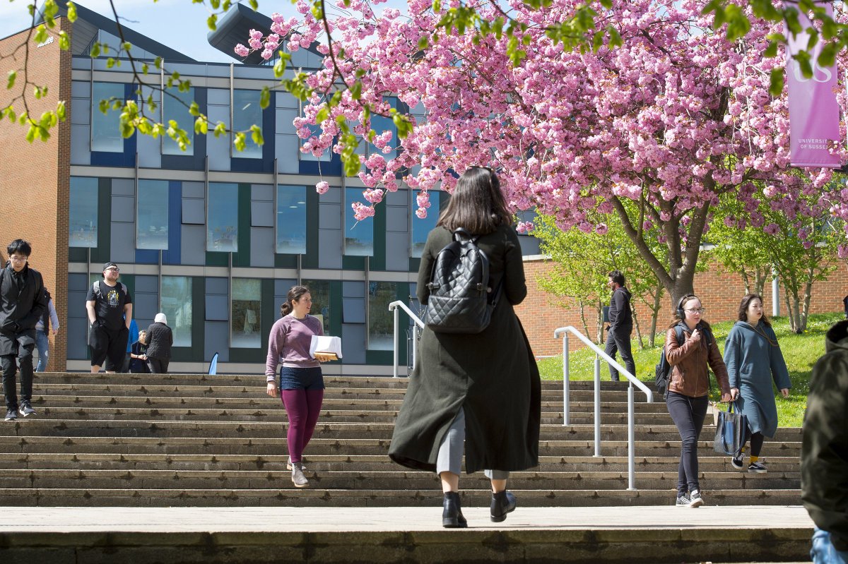 The Stuart Hall Foundation (@stuarthallfdn) on Twitter photo Applications for the Stuart Hall Fellowship '24 at <a href="/SussexUni/">University of Sussex</a>/<a href="/SussexUniMAH/">School of Media, Arts and Humanities</a> are open
👉 Open to Black emerging/early-career creative/cultural activists with networks in Brighton
👉 £5,000 funding
👉 Join our Scholars and Fellows Network
Apply by 29 Sep:
stuarthallfoundation.org/opportunities/… Applications for the Stuart Hall Fellowship '24 at <a href="/SussexUni/">University of Sussex</a>/<a href="/SussexUniMAH/">School of Media, Arts and Humanities</a> are open
👉 Open to Black emerging/early-career creative/cultural activists with networks in Brighton
👉 £5,000 funding
👉 Join our Scholars and Fellows Network
Apply by 29 Sep:
stuarthallfoundation.org/opportunities/…