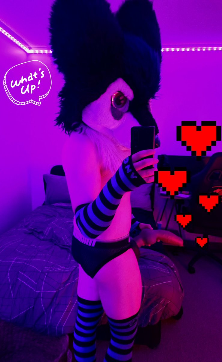 Lokapper After Dark tweet media