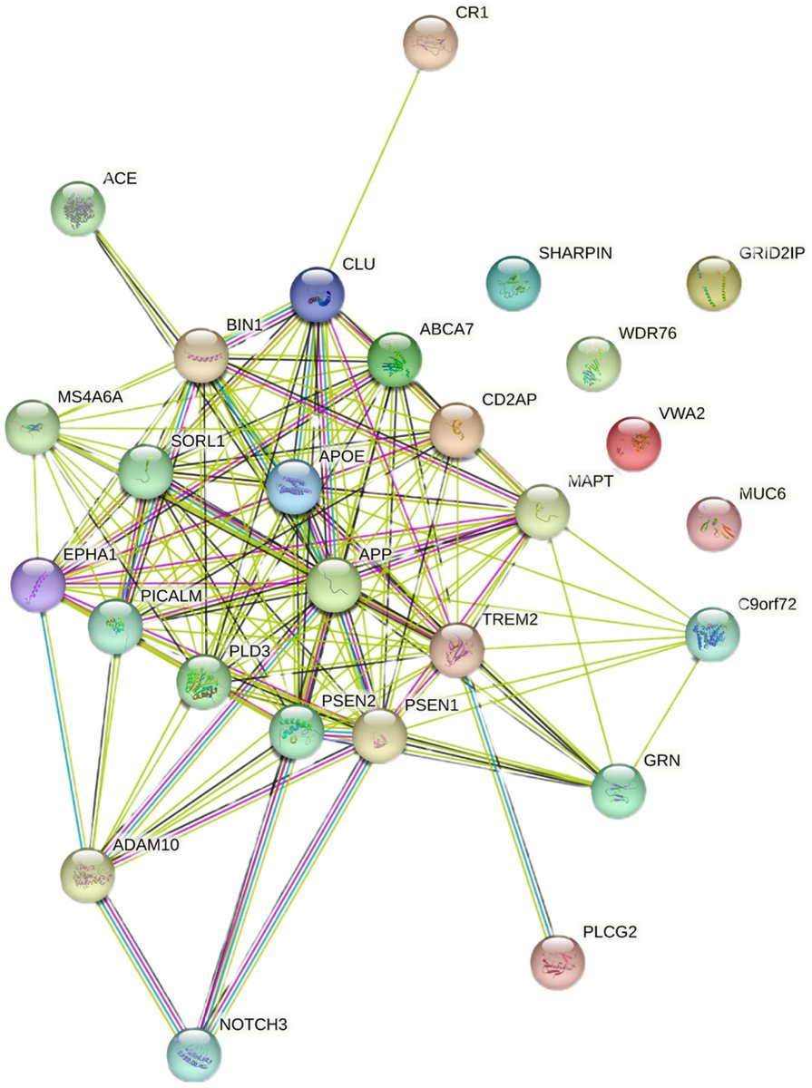 Intervention of next-generation sequencing in diagnosis of Alzheimer’s disease: challenges and future prospects. bit.ly/3OpBkiu. #Alzheimers