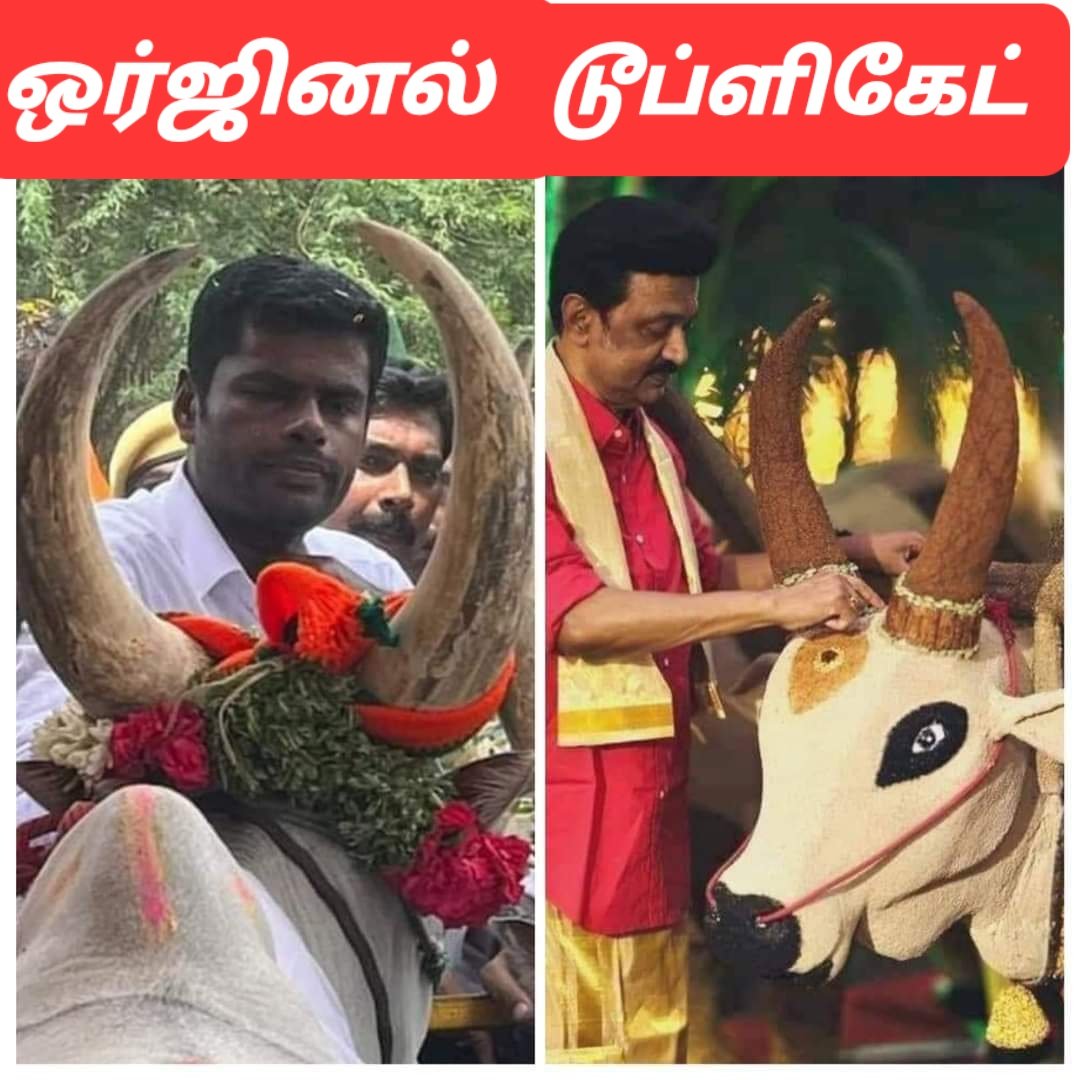 🌷மினி மோகன்🌷(மோடியின் குடும்பம்) tweet media