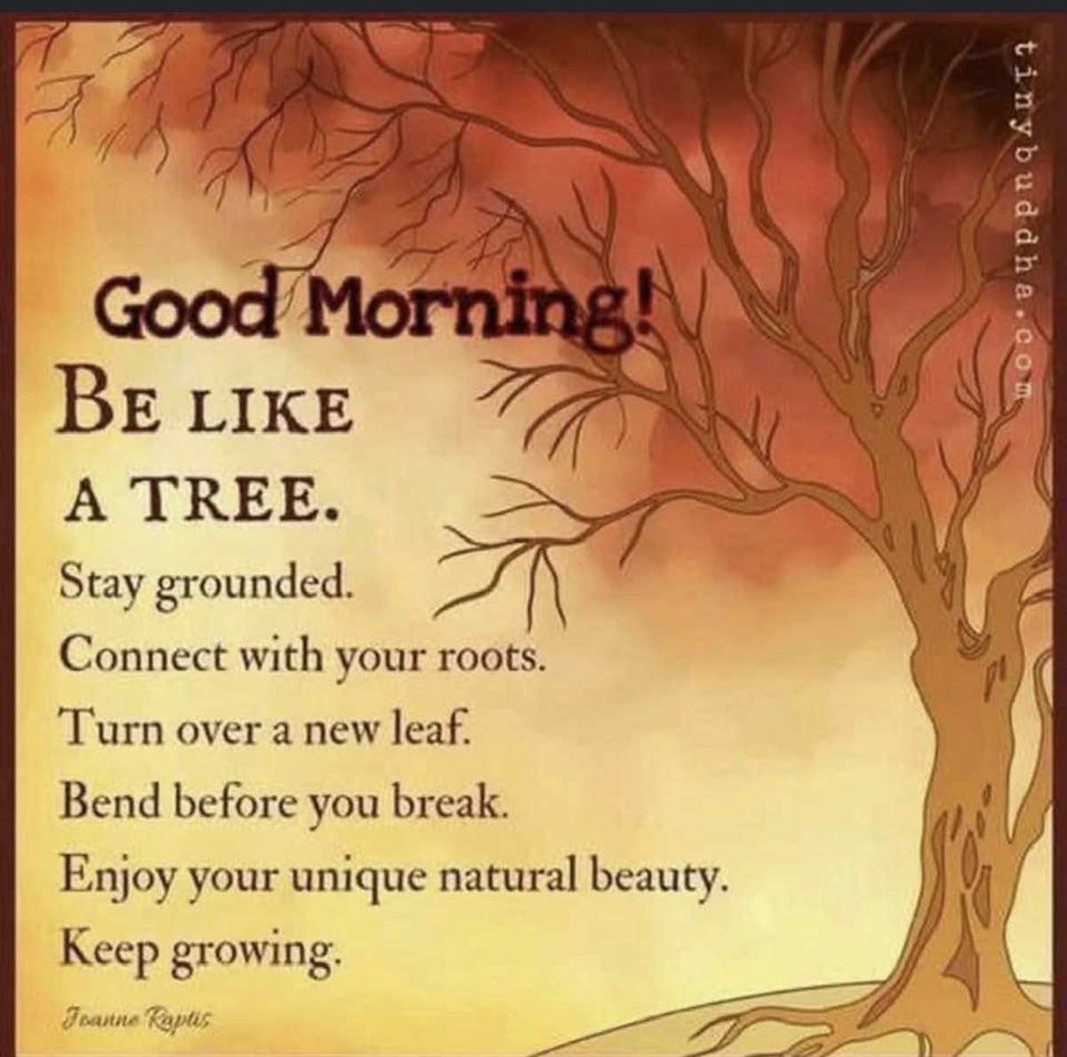 ColleyPasek's tweet photo. ☀️♥️☀️♥️☀️Happy Fabulous Friday to YOU! Do your BEST....BE the BEST! You can do anything YOU put your HEART &amp; MIND to😀Keep smiling ~ It LOOKS great on YOU! Think Positive &amp; Have a wonderful day! Hugs to you☀️♥️ https://t.co/dRytWftzzS