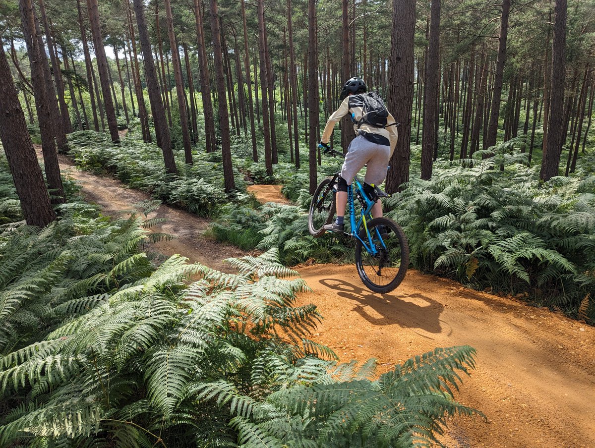 Rise:61 Bike Hub tweet media