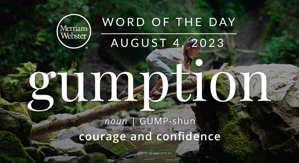 MerriamWebster's tweet photo. The #WordOfTheDay is ‘gumption.’ 
https://t.co/EmHwVHSPXM https://t.co/q1cMLNr2S9