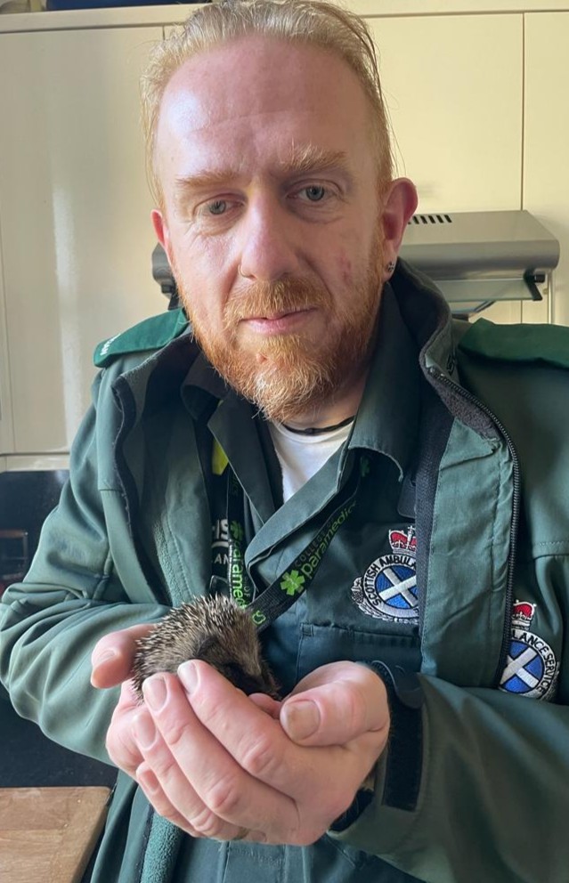 Scotambservice's tweet photo. #Keith Ambulance Station recently had a very different kind of patient! The night shift team cared for a baby #hedgehog brought in by a local couple.

After keeping watch over baby Keith during their breaks, the team handed him to @ScottishSPCA to be cared for with other hoglets https://t.co/cPEOuH1YKy