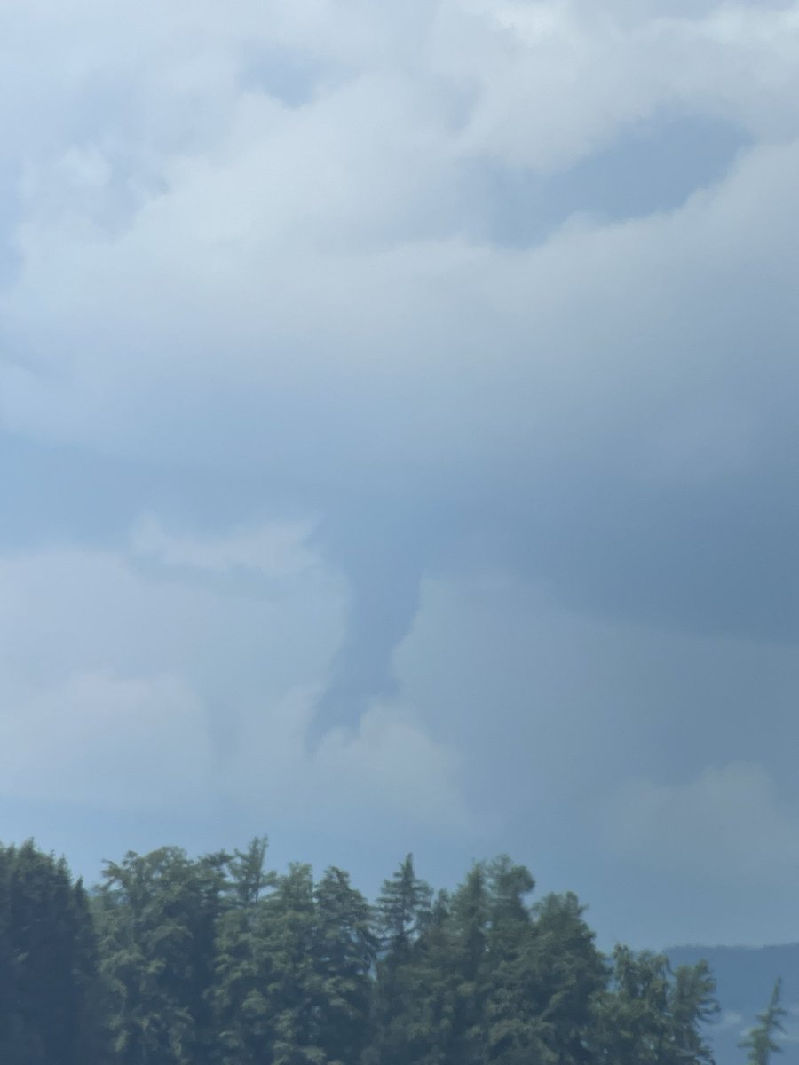 Jan O Engler tweet media