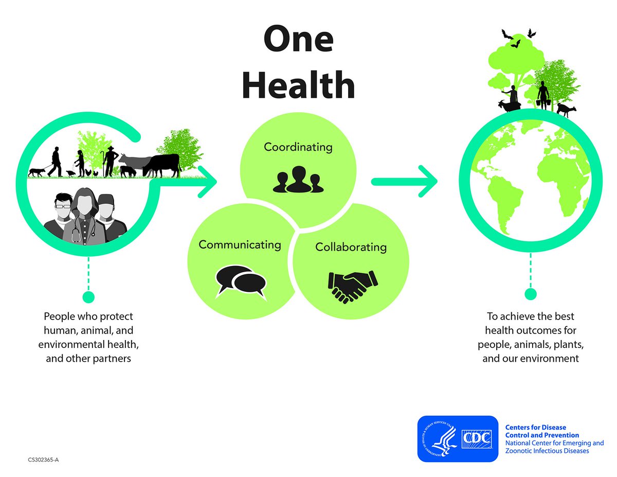 vkarr13's tweet photo. Pendekatan #onehealth #satukesehatan untuk #waspadapenyakit ini sangat diperlukan dan dilakukan. https://t.co/ZfnX0K34MA