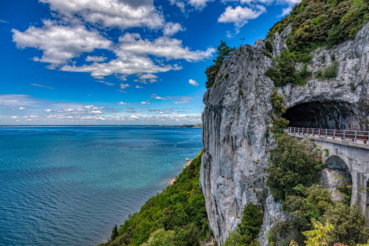 ARPAFVG's tweet photo. 🌊È disponibile il bollettino sullo stato oceanografico ed ecologico del Golfo di #Trieste dei mesi di maggio, giugno e luglio 2023. Per i dati di temperatura, salinità, ossigeno, organismi avvistati, ecc., leggi il report completo▶️https://t.co/kicNElBFmD https://t.co/1z56oolBPr