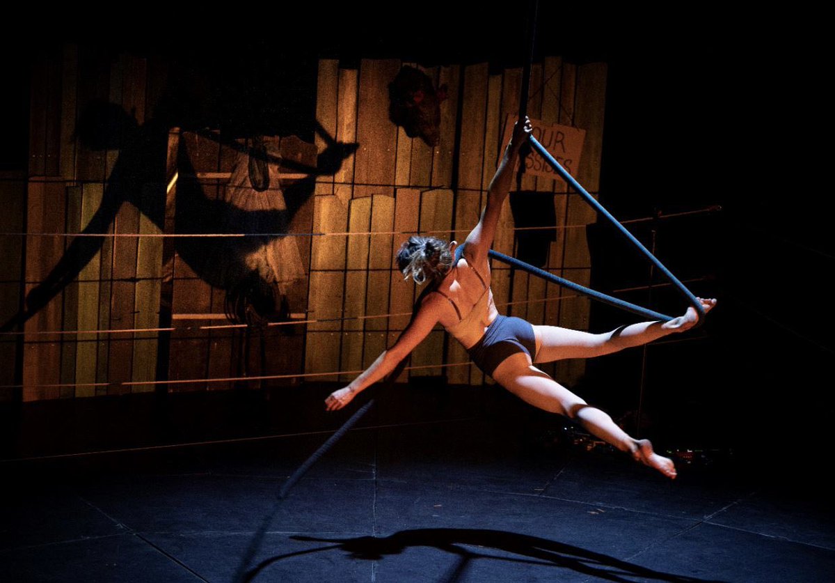 🎤A lire sur Culture Cirque : l’interview   de Martin Palisse (Le Sirque) à l’occasion du festival Multi-Pistes qui démarre le 9 août à Nexon 🎉

📸 La boîte de Pandore / Matthieu Ponchel