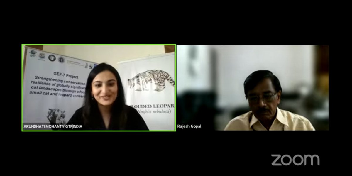 Unitedfortigers's tweet photo. Watch the webinar on the Global & National Conservation Status of the Clouded leopard on
https://t.co/yn6t1wRGw4
#InternationalCloudedLeopardDay #SmallWildCat #Elusive #Felid
@moefcc @CZA_Delhi @UNDP_India @WWFINDIA @pakke_tiger @DudhwaTR @RanthambhoreTR https://t.co/5XMN5kdQWB