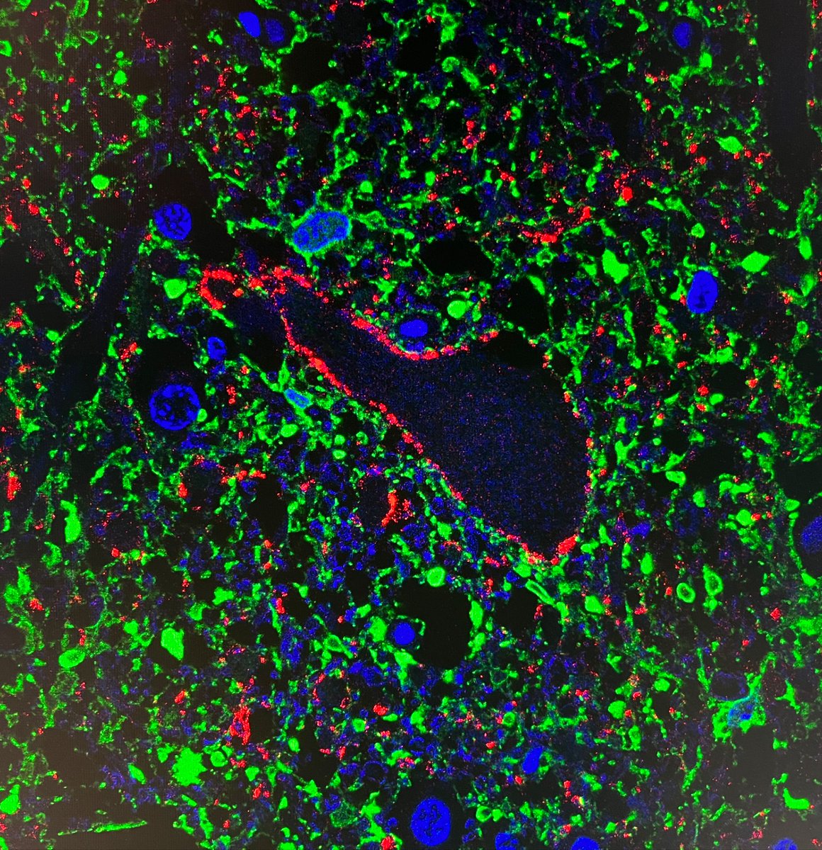 Chris Henstridge tweet media