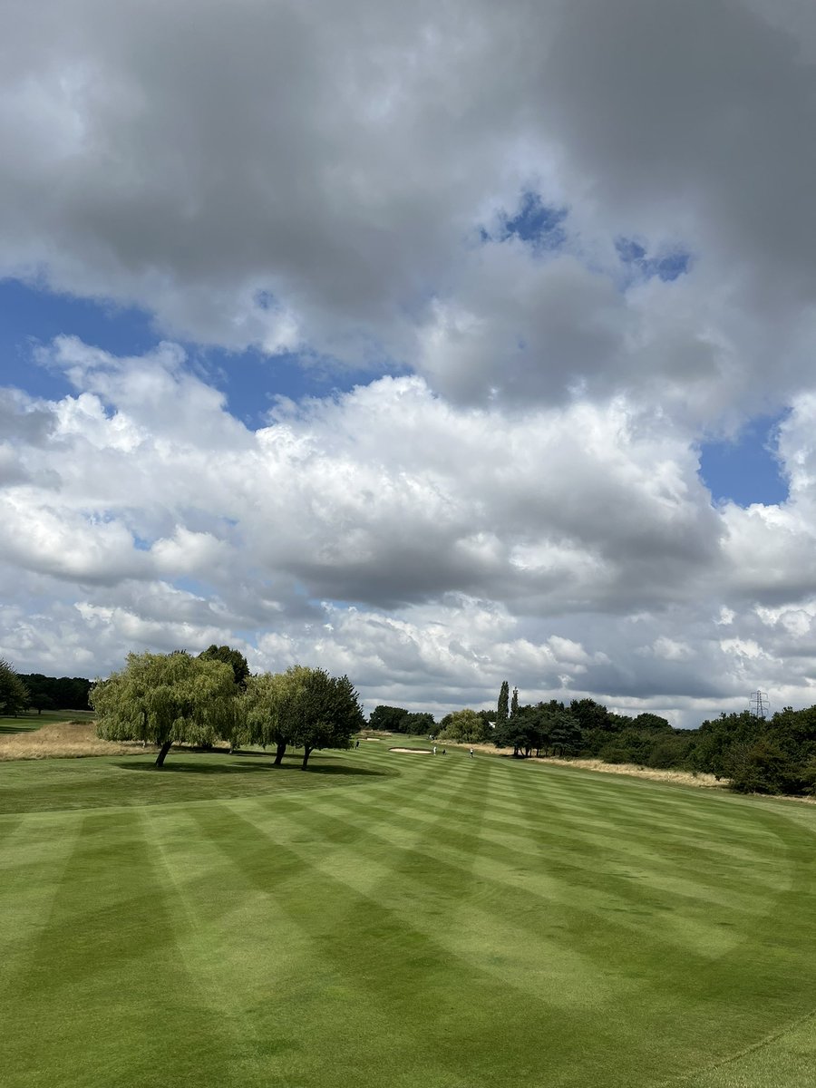 Aaron Allibon tweet media