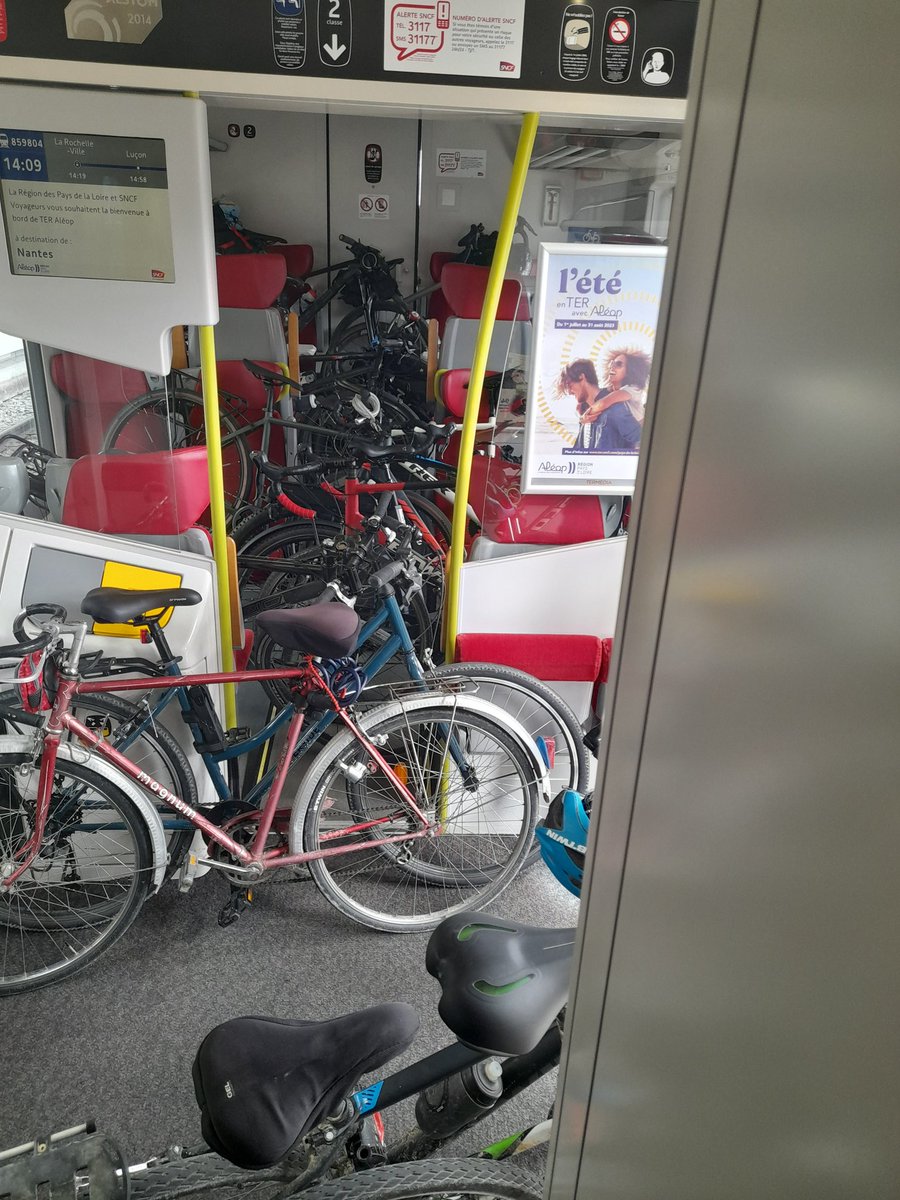 shellon2wheels's tweet photo. All passengers watching as 2 train staff calmly arrange an additional 15 more bikes than there are spaces. https://t.co/7vsitT9toj