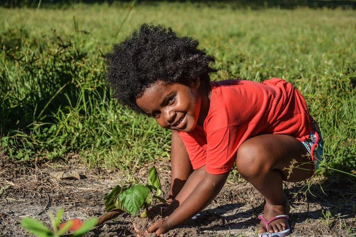 pretodrama65's tweet photo. 🌱✊🏾 "Afagar a terra. Conhecer os desejos da terra. Cio da terra, a propícia estação. E fecundar o chão."

-Chico Buarque e Milton Nascimento

📸 Elitiel Guedes / MST MA

_#PlantarÁrvores #ProduzirAlimentosSaudáveis #TodosPelaReformaAgrária_ https://t.co/bwf2HtmBSg
