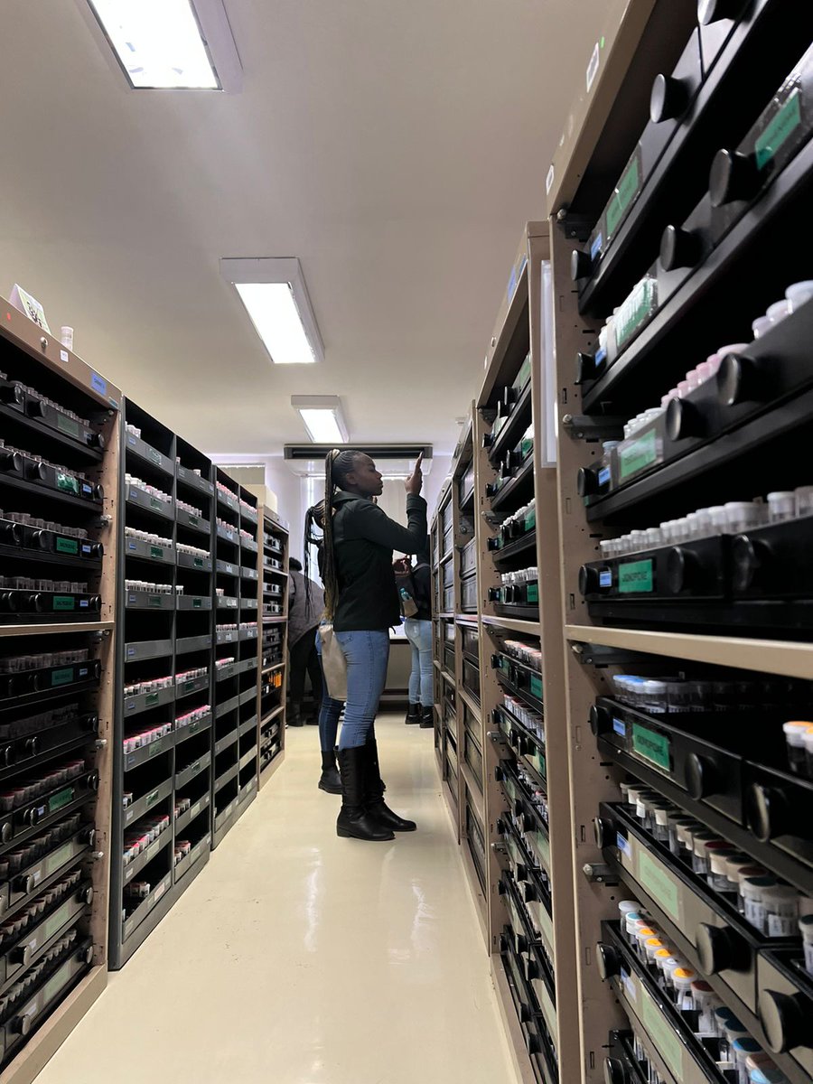 ARC South Africa 🇿🇦 tweet media