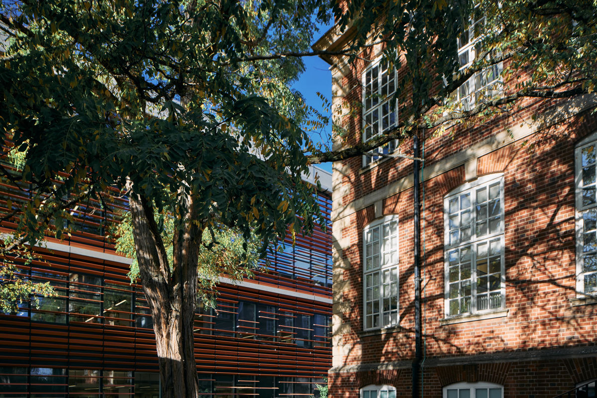 Dunn_School (now @DunnSchool.bsky.social) (@dunn_school) on Twitter photo 📢 Postdoc opportunities <a href="/Dunn_School/">Dunn_School (now @DunnSchool.bsky.social)</a> 📢
The Carvalho Lab is recruiting 2 postdocs to investigate the mechanisms of protein degradation using cell biology, biochemistry and structural biology approaches. Great opportunity!
Find out more: my.corehr.com/pls/uoxrecruit… 📢 Postdoc opportunities <a href="/Dunn_School/">Dunn_School (now @DunnSchool.bsky.social)</a> 📢
The Carvalho Lab is recruiting 2 postdocs to investigate the mechanisms of protein degradation using cell biology, biochemistry and structural biology approaches. Great opportunity!
Find out more: my.corehr.com/pls/uoxrecruit…