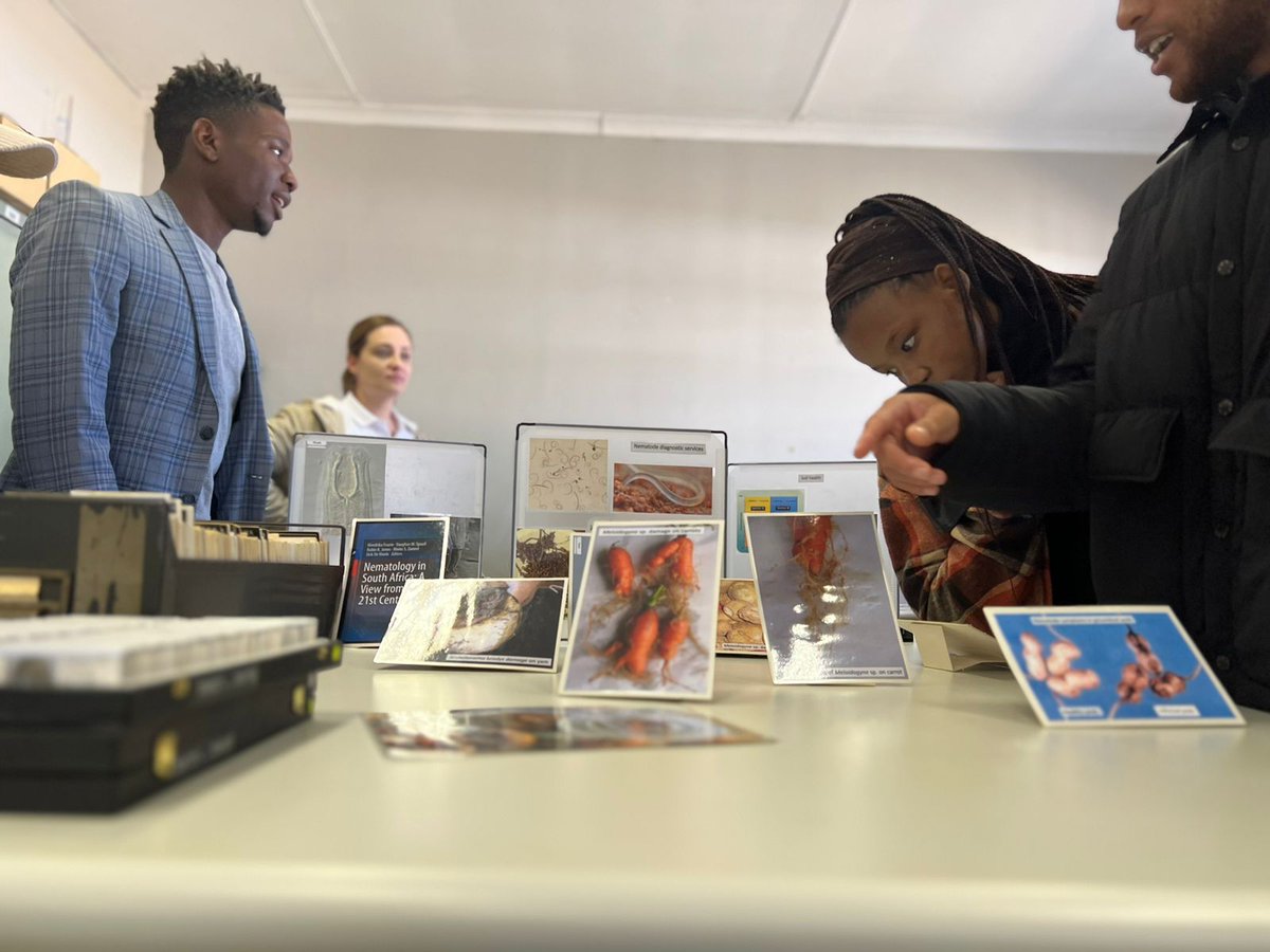 ARC South Africa 🇿🇦 tweet media