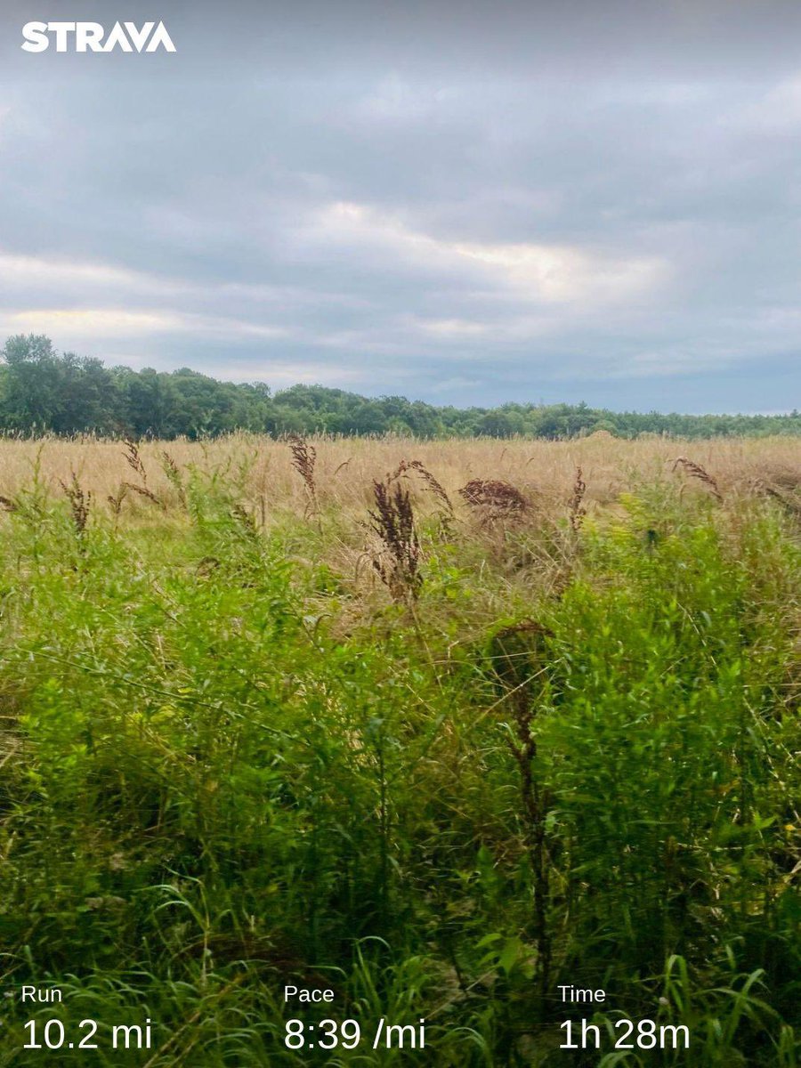 jamie05051973's tweet photo. 10 more to close out the week! Next stop vacation!
#FitnessGoals #shutupandrun #runner #miles #runforfun #running #runningisfun #runningmotivation #Headspace #run #music #musicislife #runhappy #FridayFun #KEXPRUNCAST
.https://t.co/QJBsP8GKWM https://t.co/DuDLdXUiLO