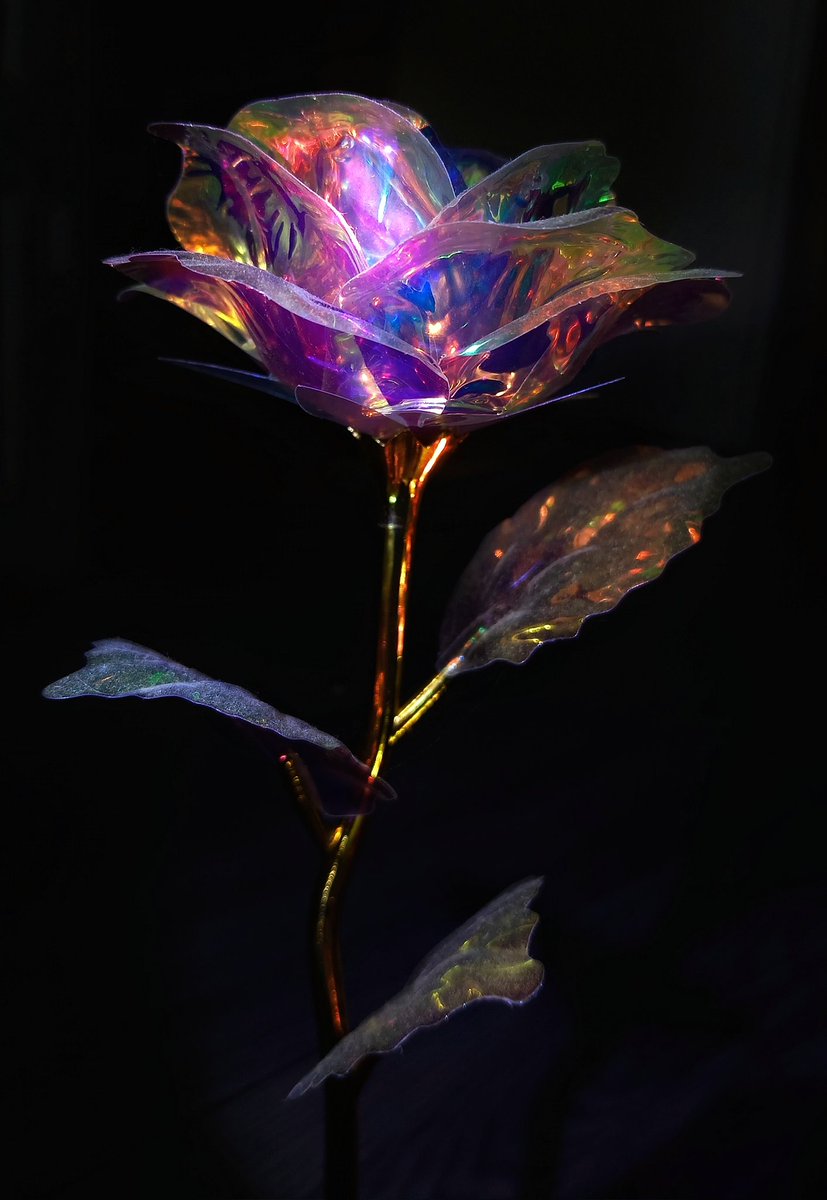 DaveMPhoto's tweet photo. Playing around with a glass rose.
I've done this before with a camera but I thought I'd give it a go with my phone.
Honor X6 and a hand held torch. https://t.co/QEPvzxhL9u